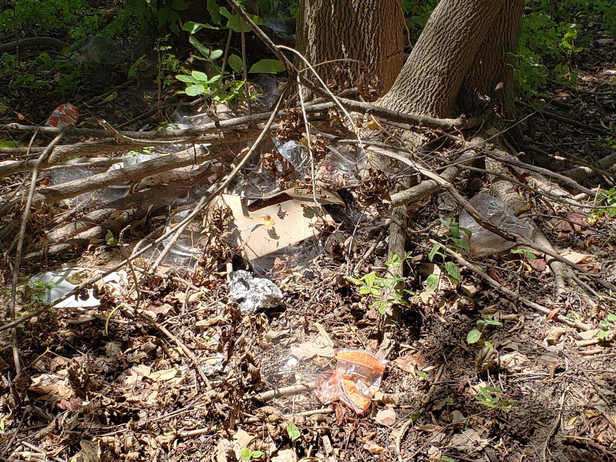 Camper-submitted photo at Falls on the Brazos Park near Marlin, TX