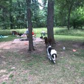 Review photo of Stephen Austin State Park Campground by Brittany S., August 14, 2018