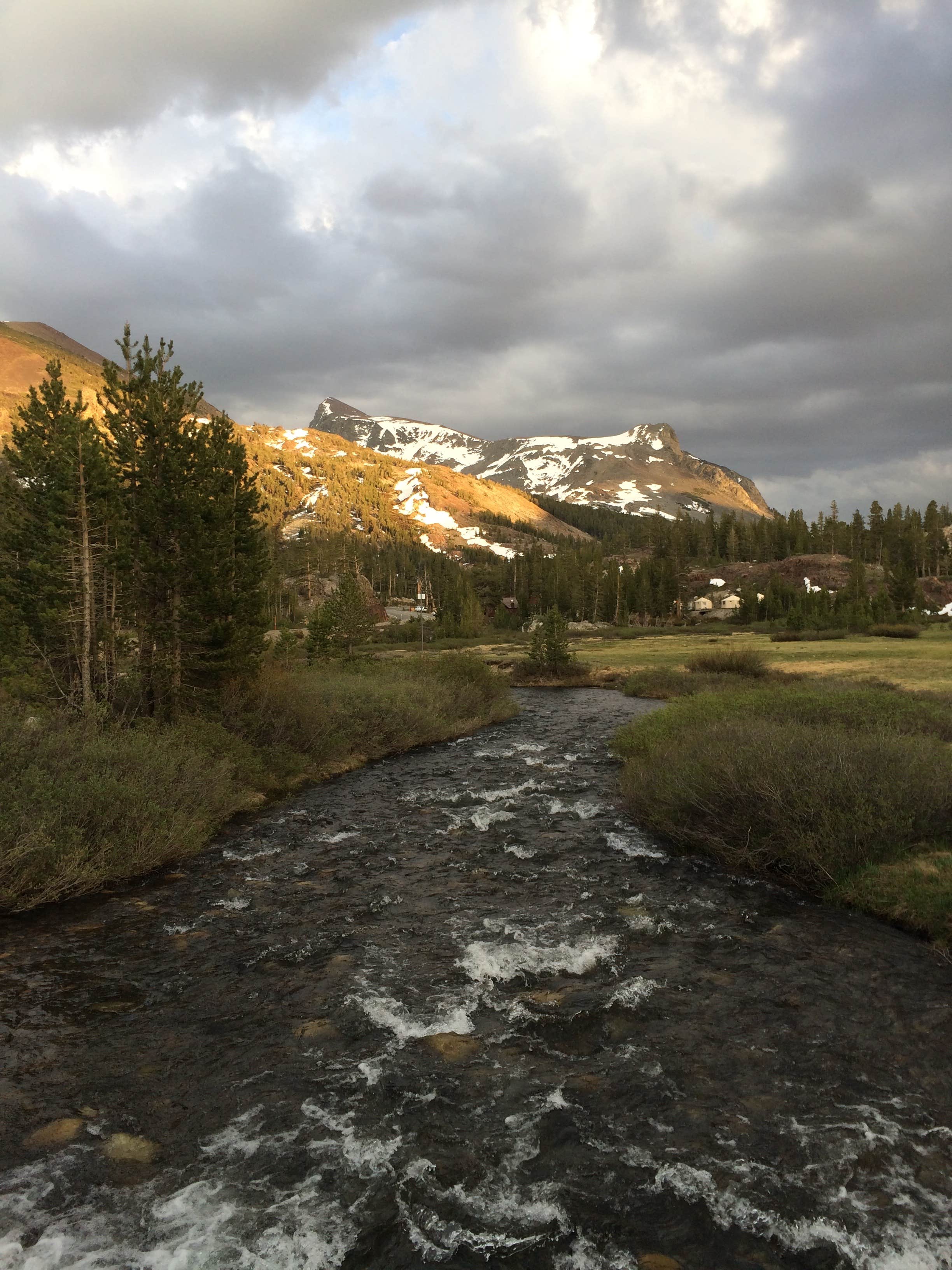 Camper submitted image from Junction Campground - 3