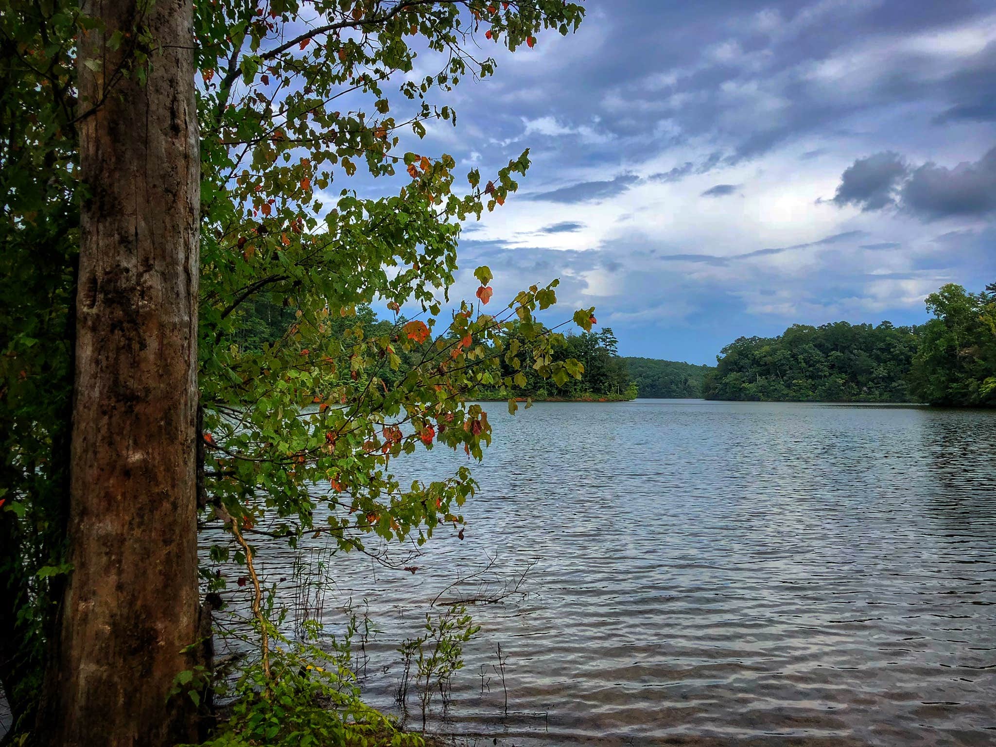 Escape To Serenity: Discover The Hidden Gem Of Don Carter State Park