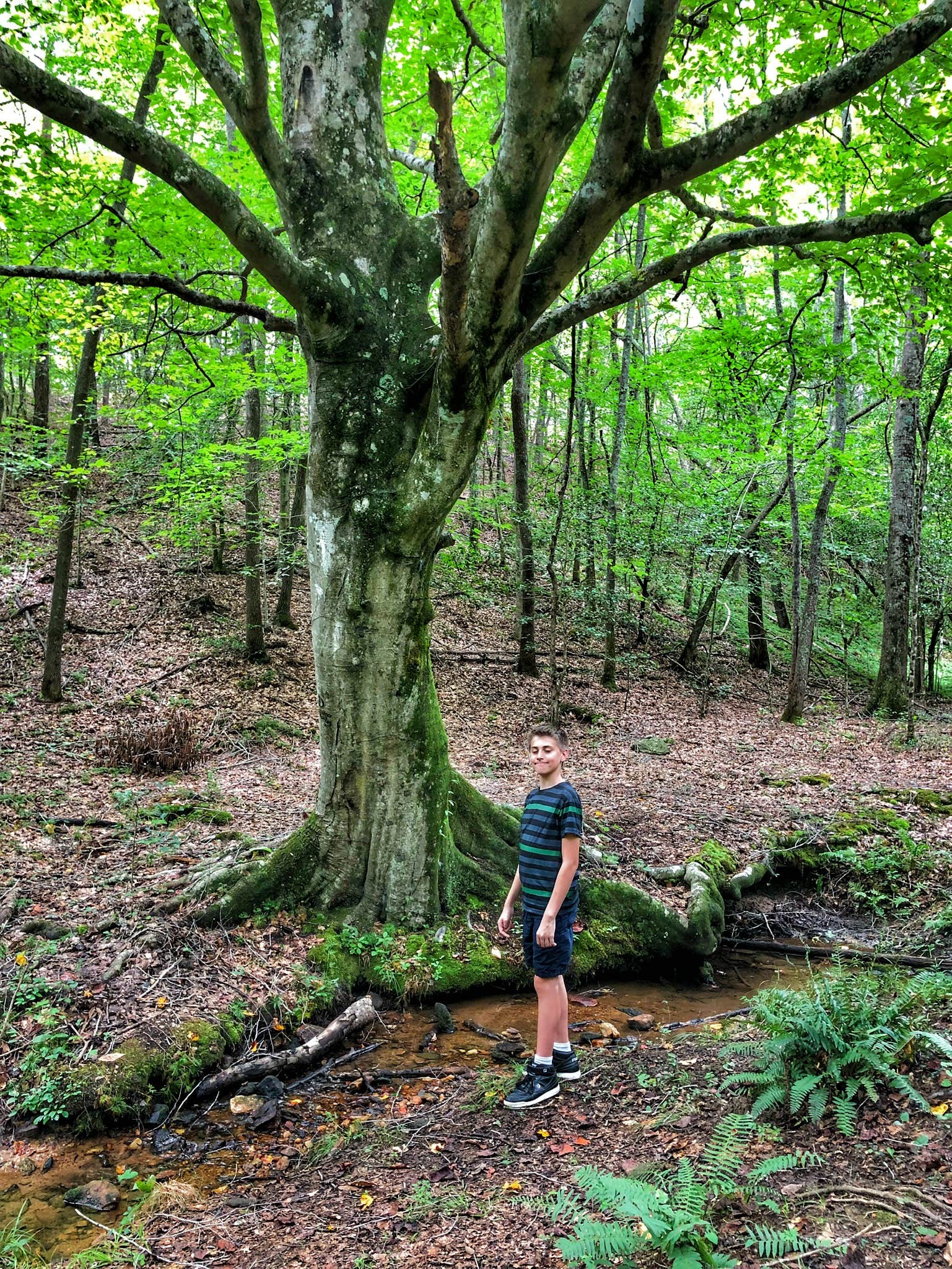 Camper-submitted photo at Don Carter State Park Campground near Flowery Branch, GA