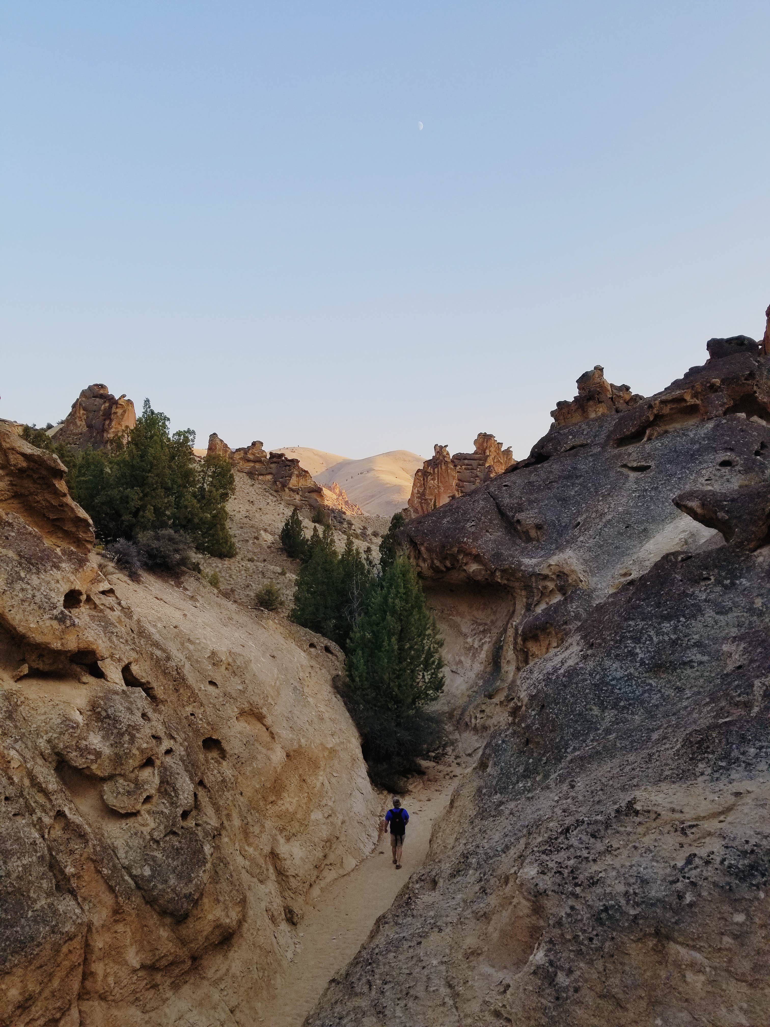 Camper submitted image from Slocum Creek (Leslie Gulch) Campground - 2