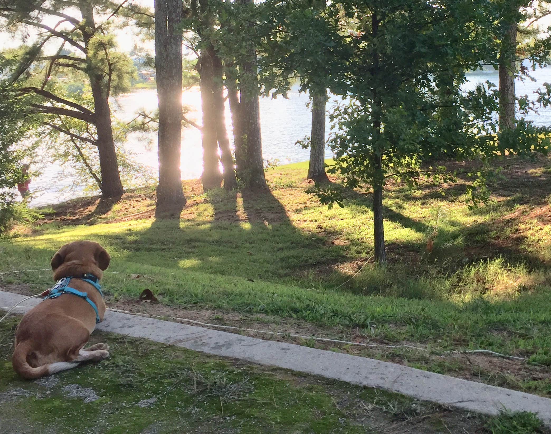 Camper-submitted photo at Old Federal near Buford, GA