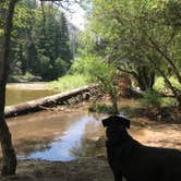 Review photo of Sentinel Campground — Kings Canyon National Park by Tanya T., August 19, 2018