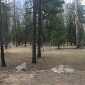 Review photo of Sentinel Campground — Kings Canyon National Park by Tanya T., August 19, 2018