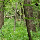 Review photo of Father Hennepin State Park Campground by Kerri N., August 19, 2018