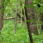 Review photo of Father Hennepin State Park Campground by Kerri N., August 19, 2018