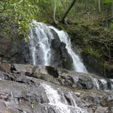 Review photo of Cosby Campground — Great Smoky Mountains National Park by Megan B., July 31, 2016