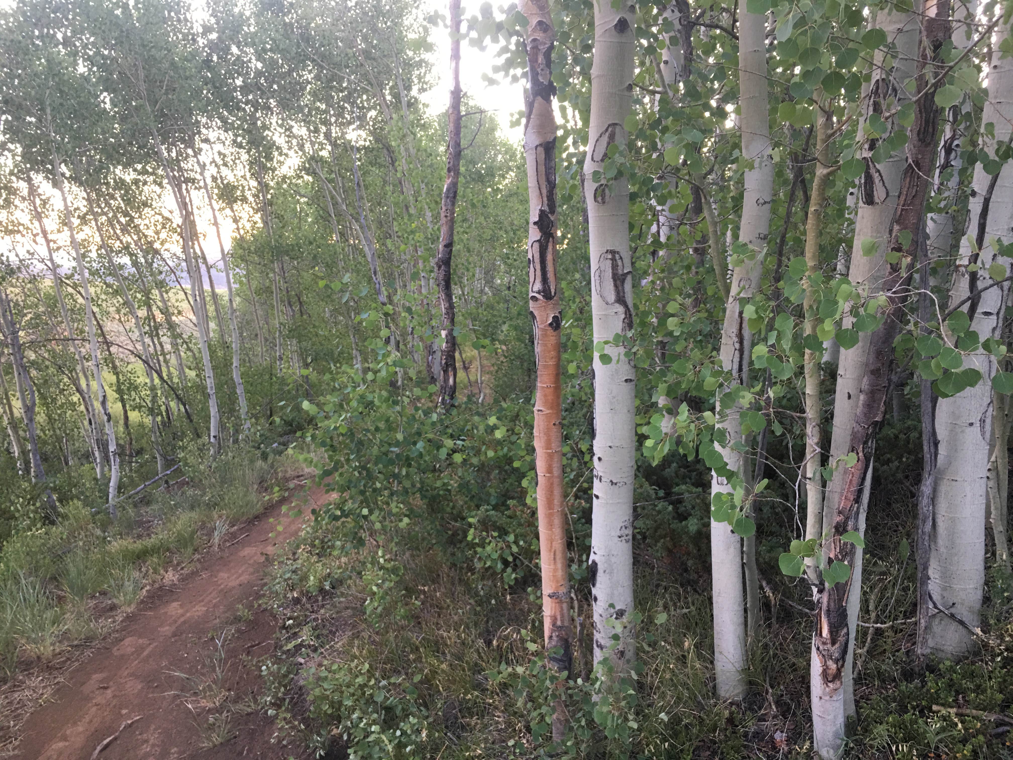 Camper-submitted photo at Willow Creek Campground near Hot Sulphur Springs, CO