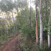 Review photo of Willow Creek Reservoir Campground - Temporarily Closed by Amanda M., August 20, 2018