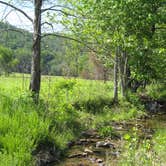Review photo of Cosby Campground — Great Smoky Mountains National Park by Megan B., July 31, 2016