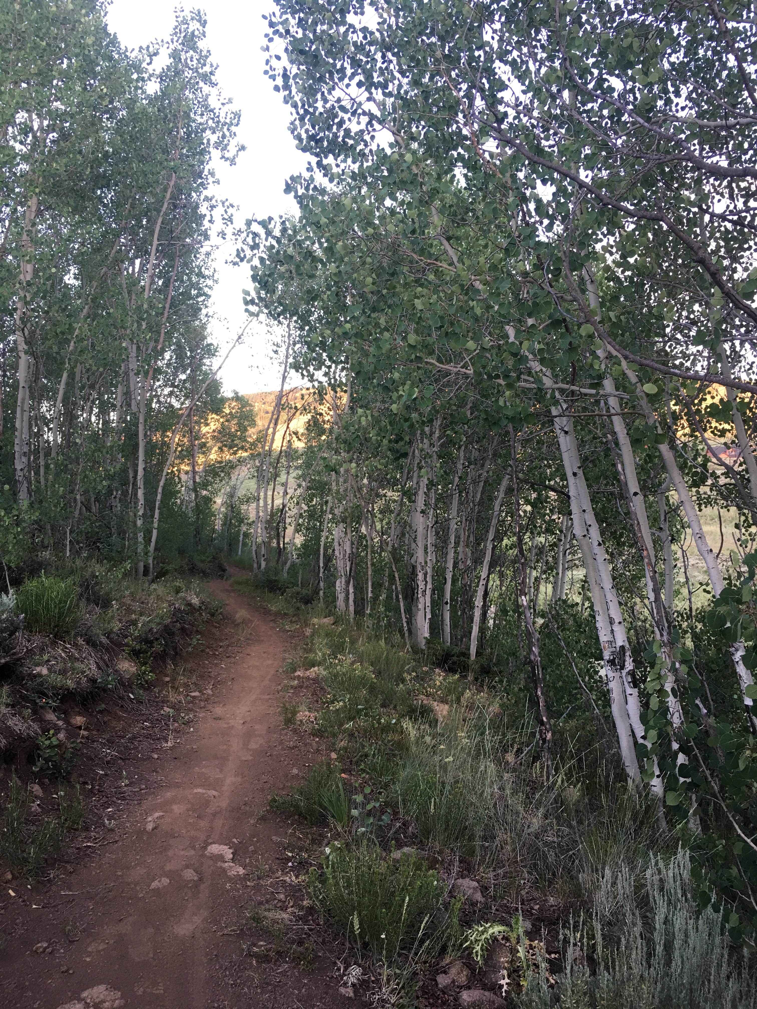 Camper-submitted photo at Willow Creek Campground near Hot Sulphur Springs, CO