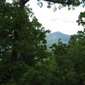 Review photo of Cosby Campground — Great Smoky Mountains National Park by Megan B., July 31, 2016