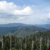 Review photo of Cosby Campground — Great Smoky Mountains National Park by Megan B., July 31, 2016