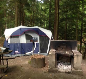 Camper-submitted photo from Bomoseen State Park Campground