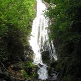 Review photo of Cosby Campground — Great Smoky Mountains National Park by Megan B., July 31, 2016