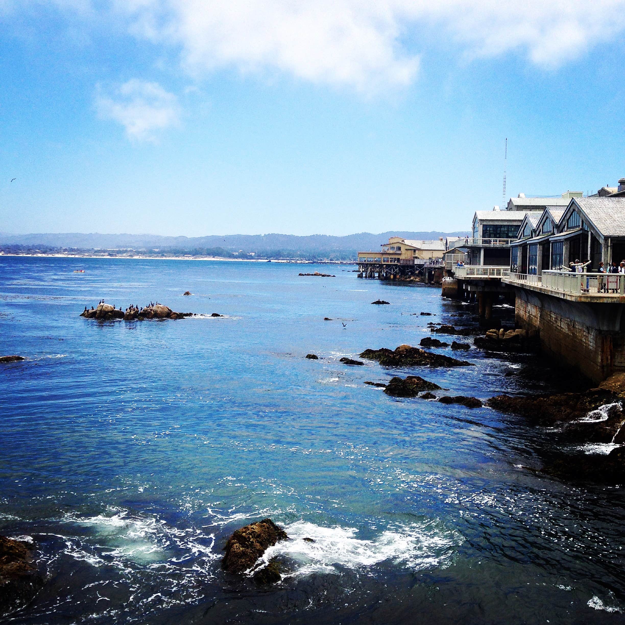 Camper-submitted photo at Salinas-Monterey KOA near Paicines, CA