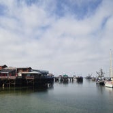 Review photo of Salinas-Monterey KOA by Erin G., August 20, 2018