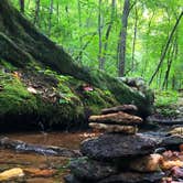 Review photo of Don Carter State Park Campground by George & Patty C., August 19, 2018