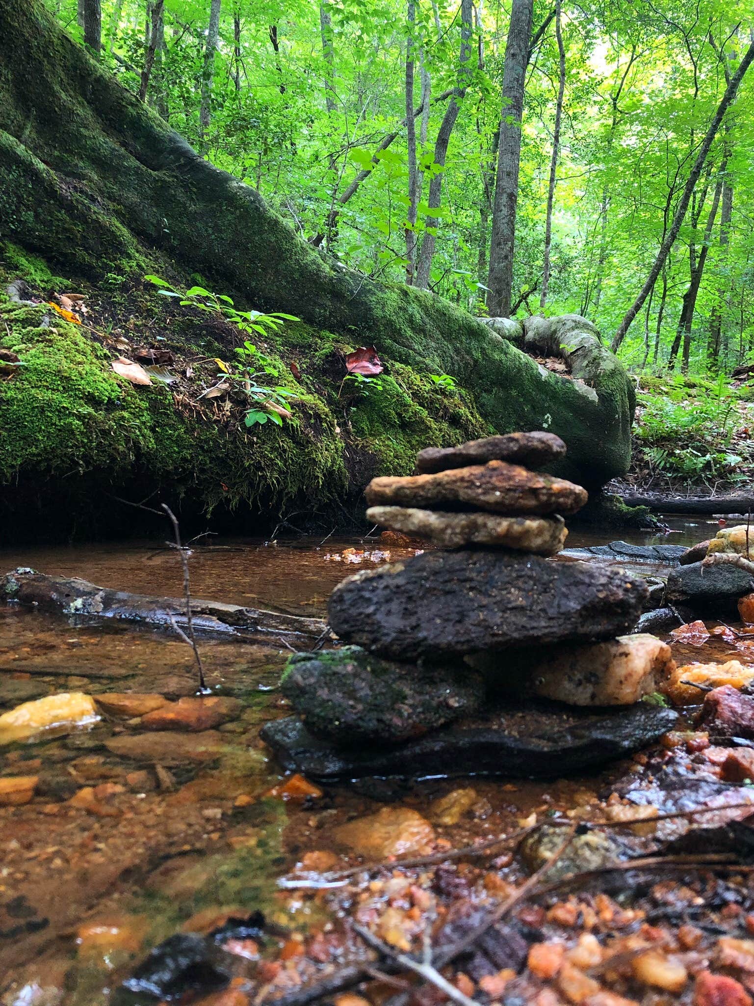 Camper submitted image from Don Carter State Park Campground - 2