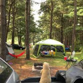 Review photo of Adeline Jay-Geo Karis Illinois Beach State Park by Naomi M., August 20, 2018