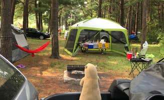 Naomi M.'s photo at Adeline Jay-Geo Karis Illinois Beach State Park near Mount Pleasant, WI