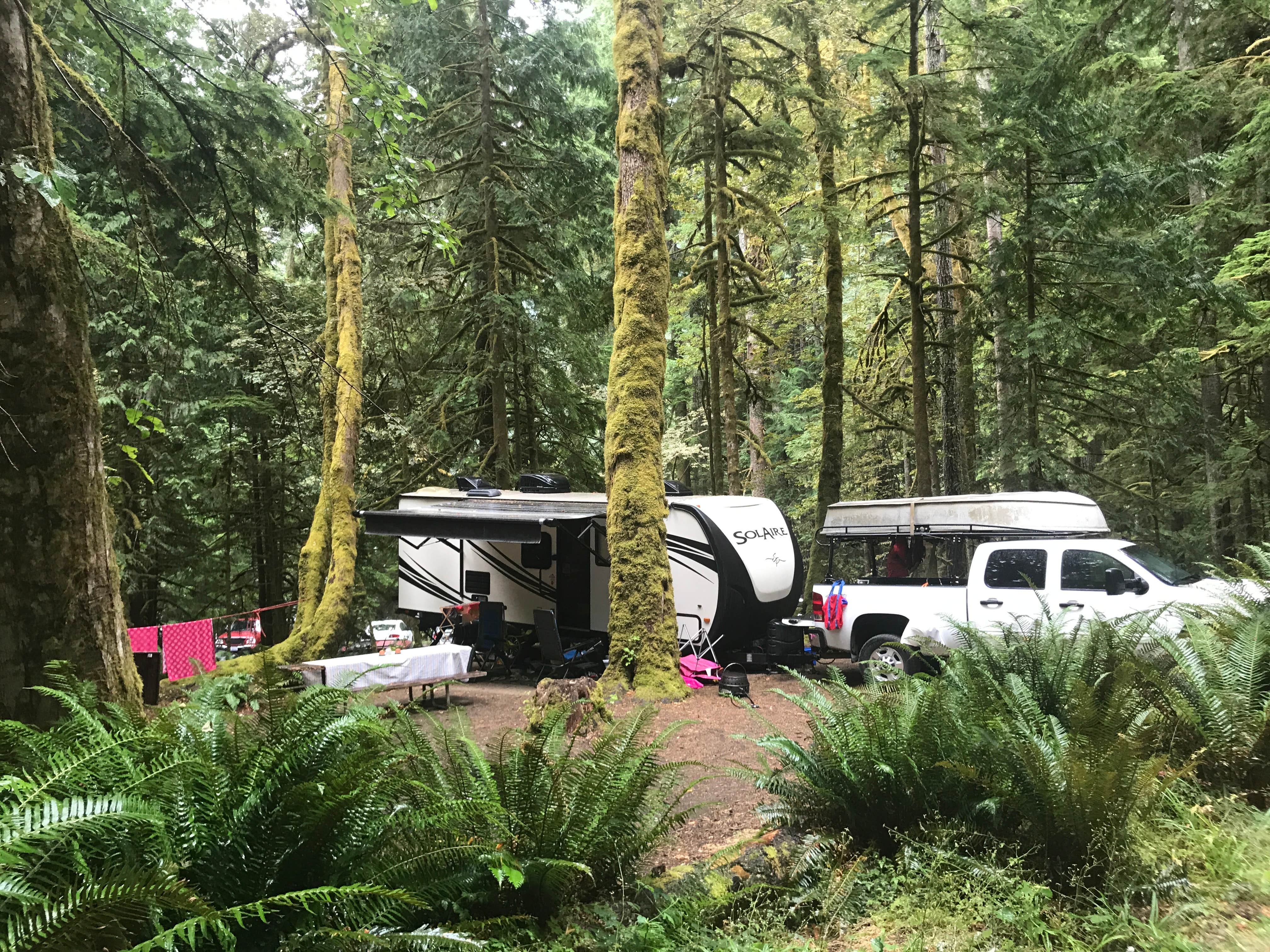 Stephanie Z.'s photo of rv camping at Fairholme Campground — Olympic National Park near Sekiu, WA