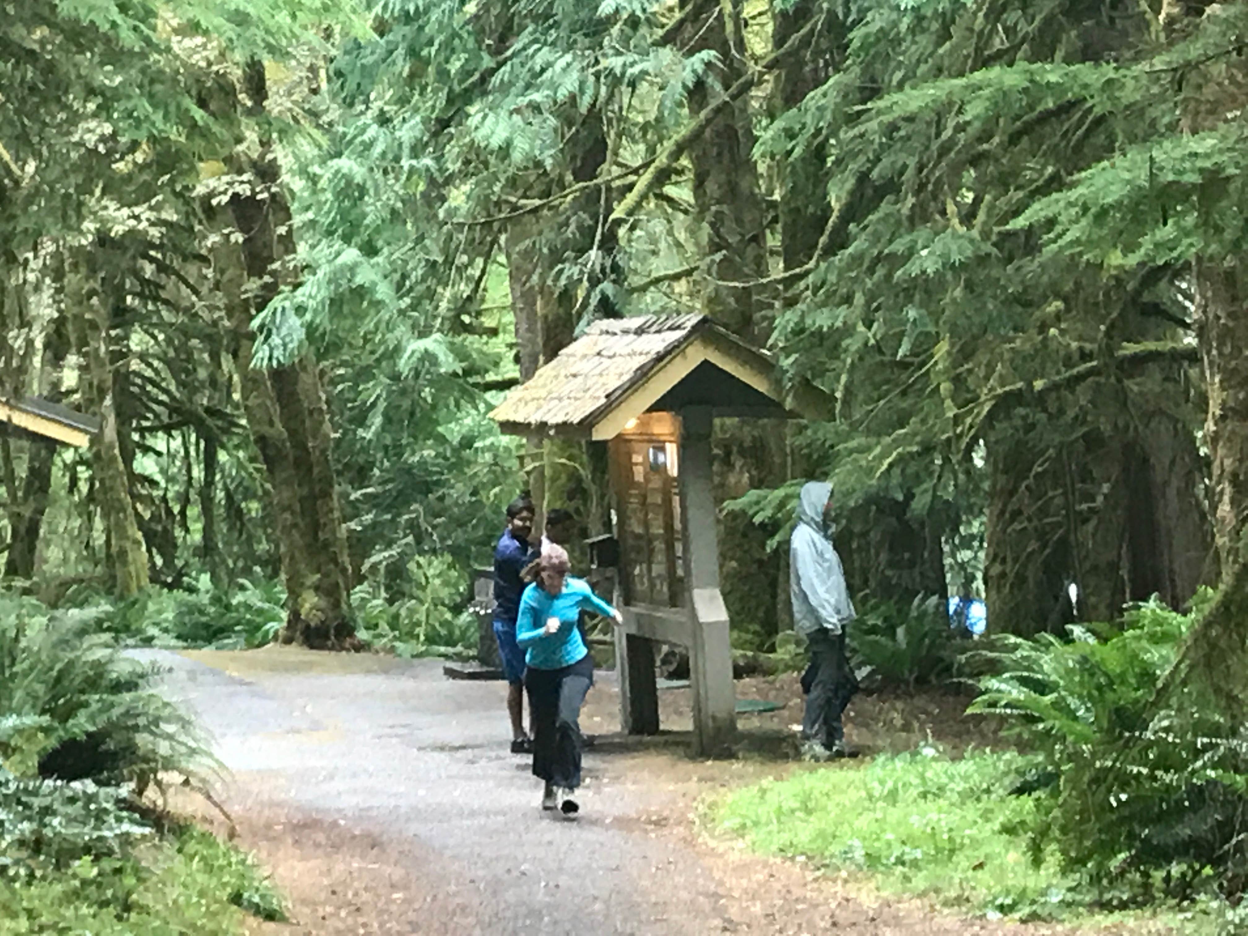 Camper submitted image from Fairholme Campground — Olympic National Park - 5
