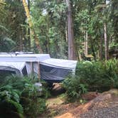 Review photo of Fairholme Campground — Olympic National Park by Stephanie Z., August 20, 2018