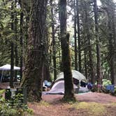 Review photo of Fairholme Campground — Olympic National Park by Stephanie Z., August 20, 2018