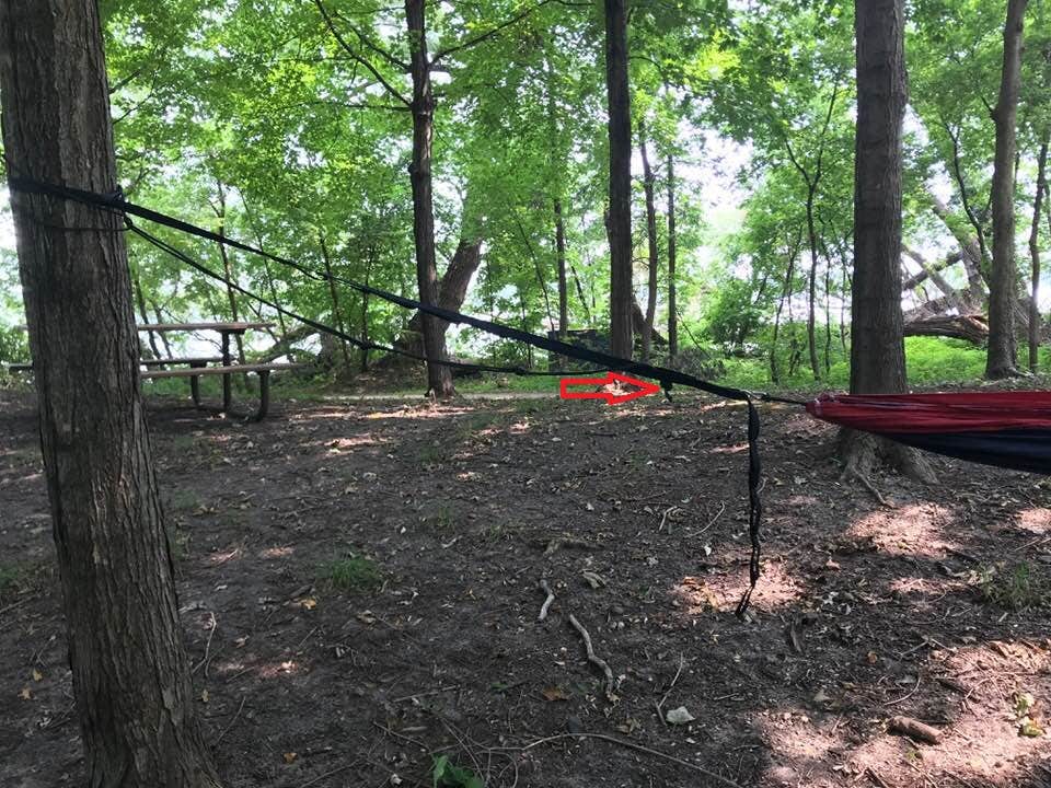 Camping near Bertram Chain of Lakes Regional Park Campground: Lake Rebecca Park Reserve, Rockford, Minnesota