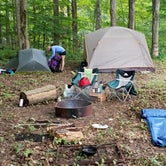 Review photo of Shady Pines Camp at CBG Farm - CLOSED by Gavin B., August 20, 2018