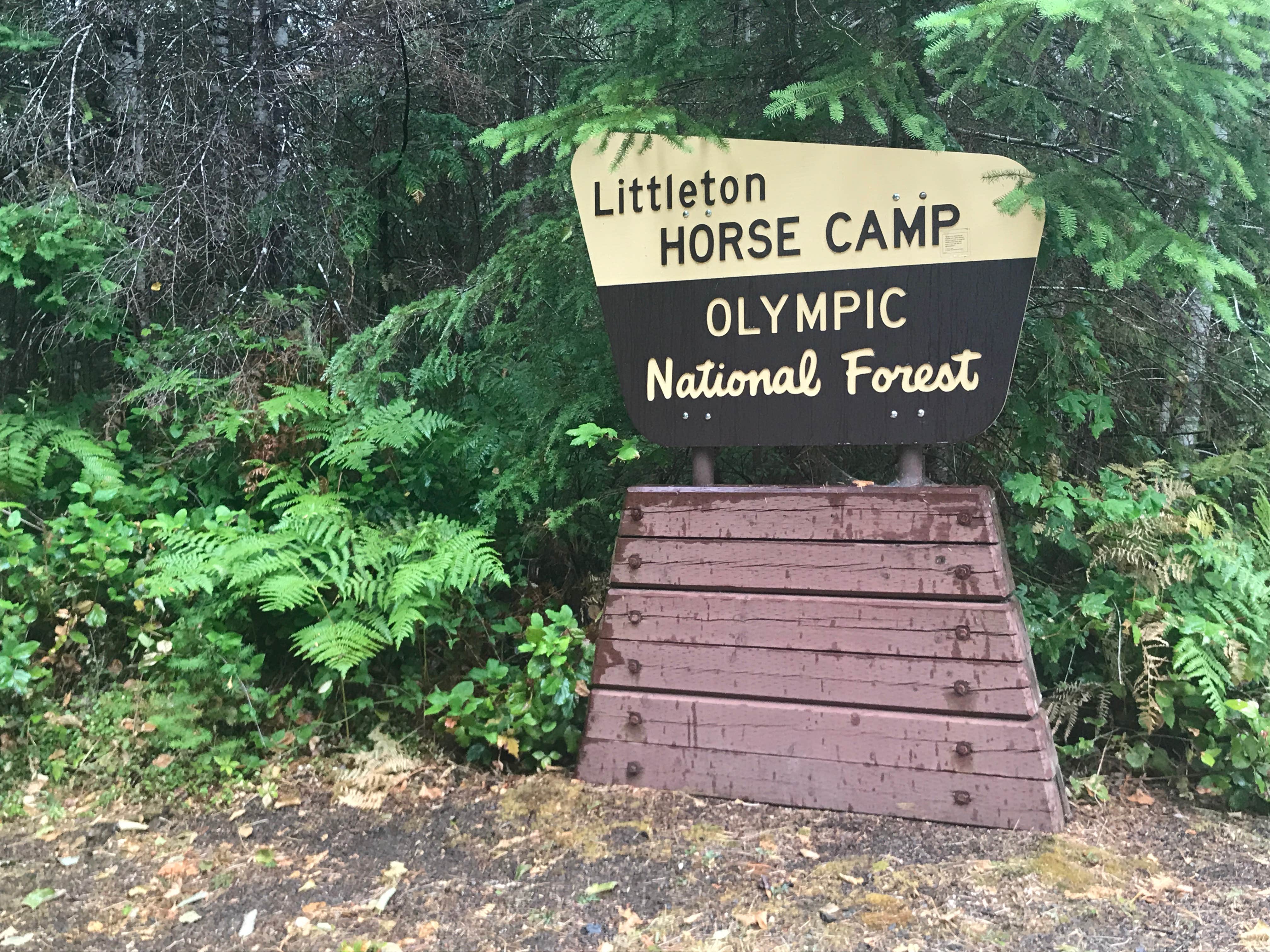 Camper submitted image from Littleton Horse Camp - 2