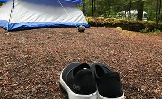 Stephanie Z.'s photo of tent camping at Littleton Horse Camp near Clallam Bay, WA