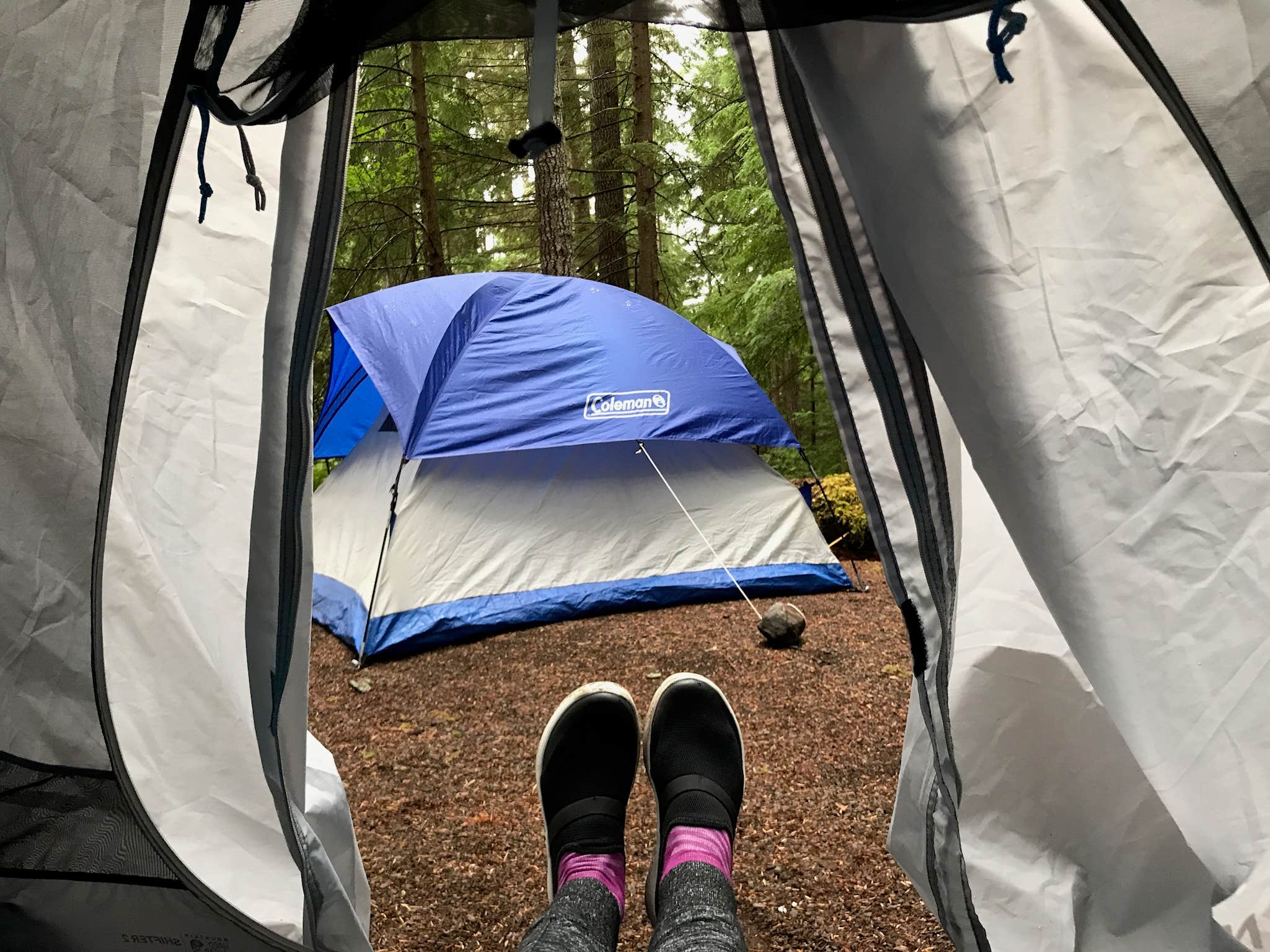 Stephanie Z.'s photo of tent camping at Littleton Horse Camp near Forks, WA