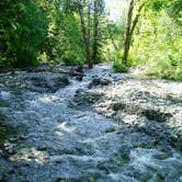 Review photo of Goodell Creek Campground — Ross Lake National Recreation Area by Art S., July 31, 2016