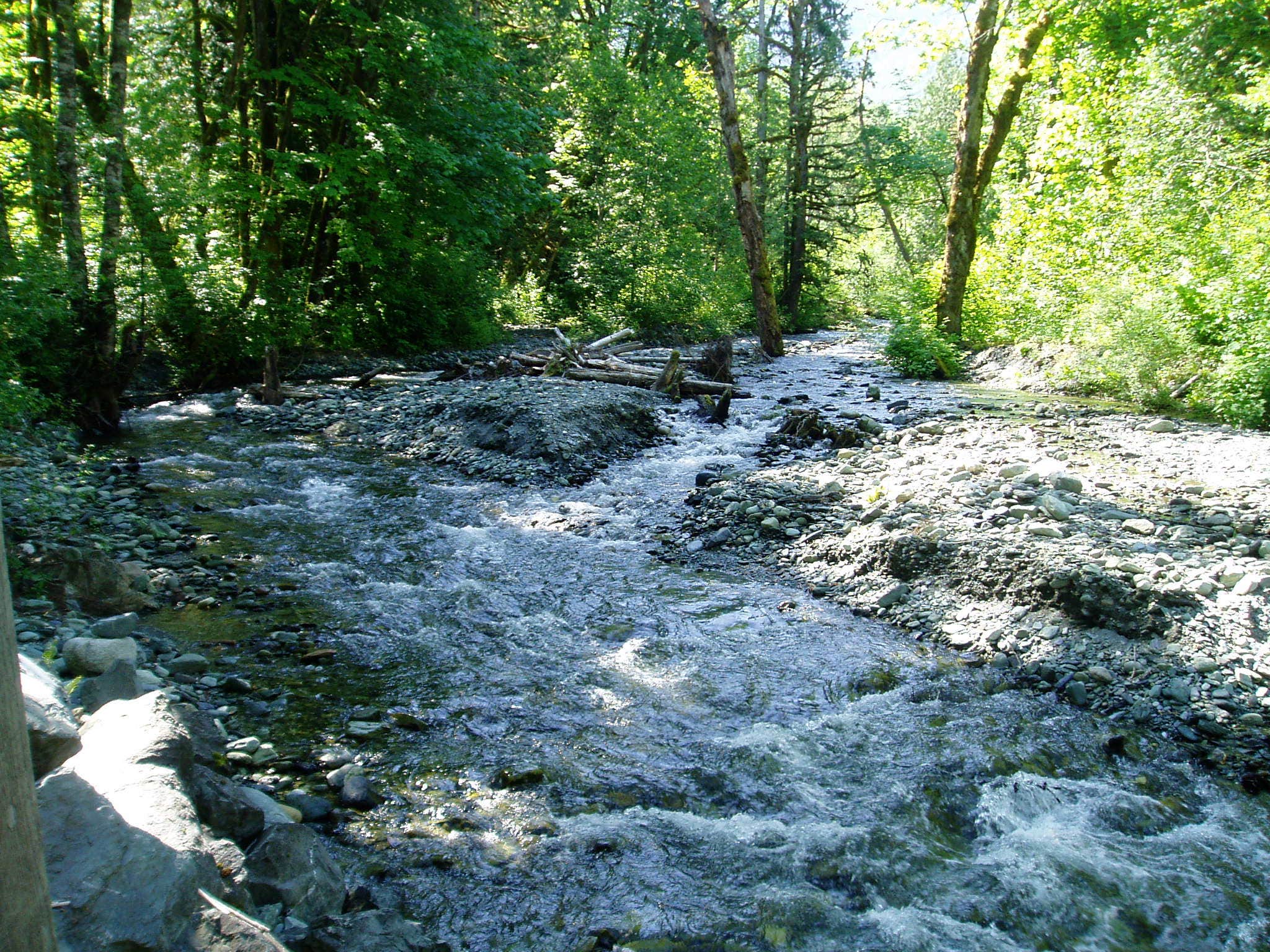 Camper submitted image from Goodell Creek Campground — Ross Lake National Recreation Area - 3