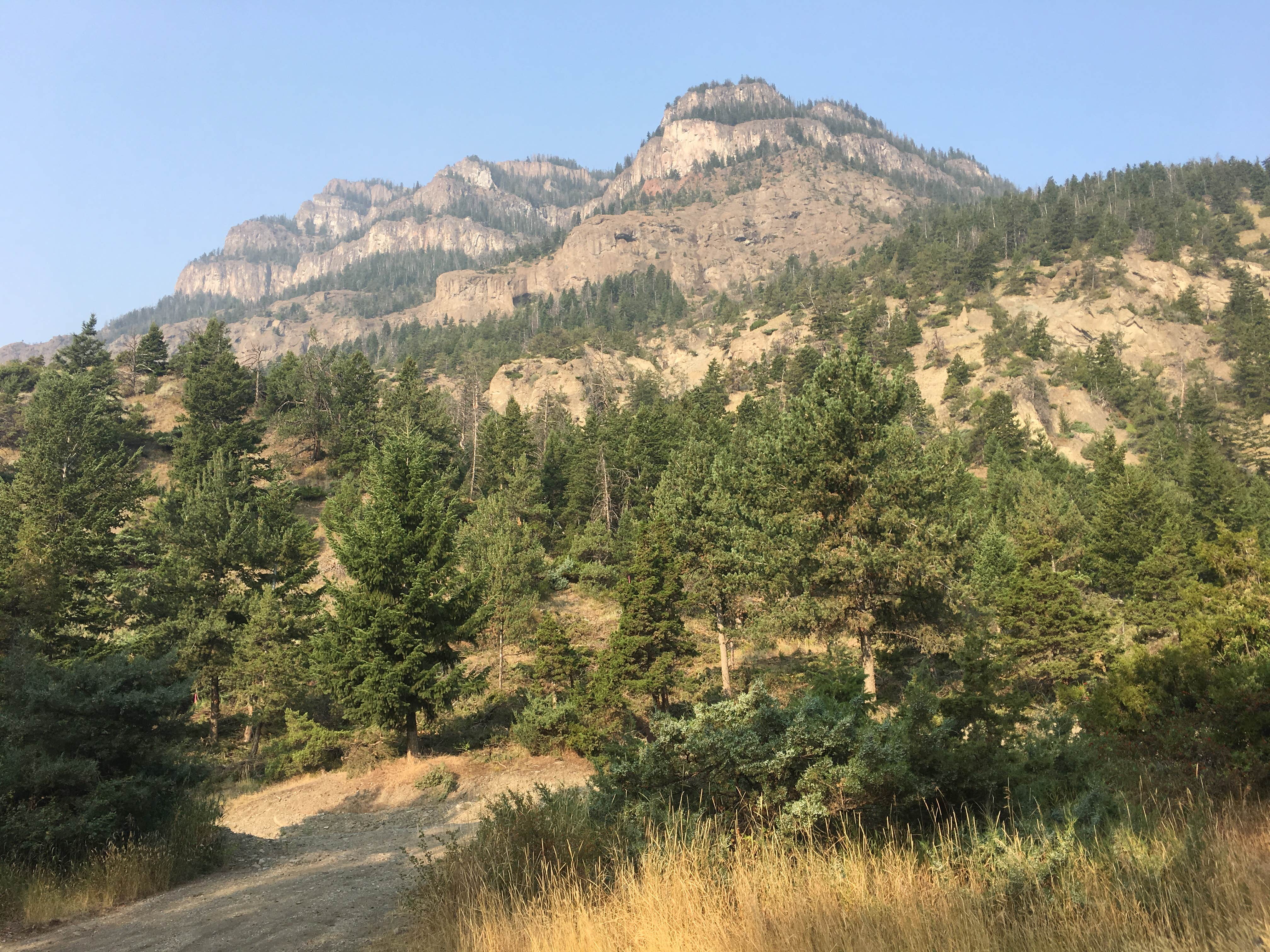Camper-submitted photo at Deer Creek near Shoshone National Forest