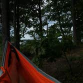 Review photo of Lake Anna State Park Campground by Derek E., August 20, 2018