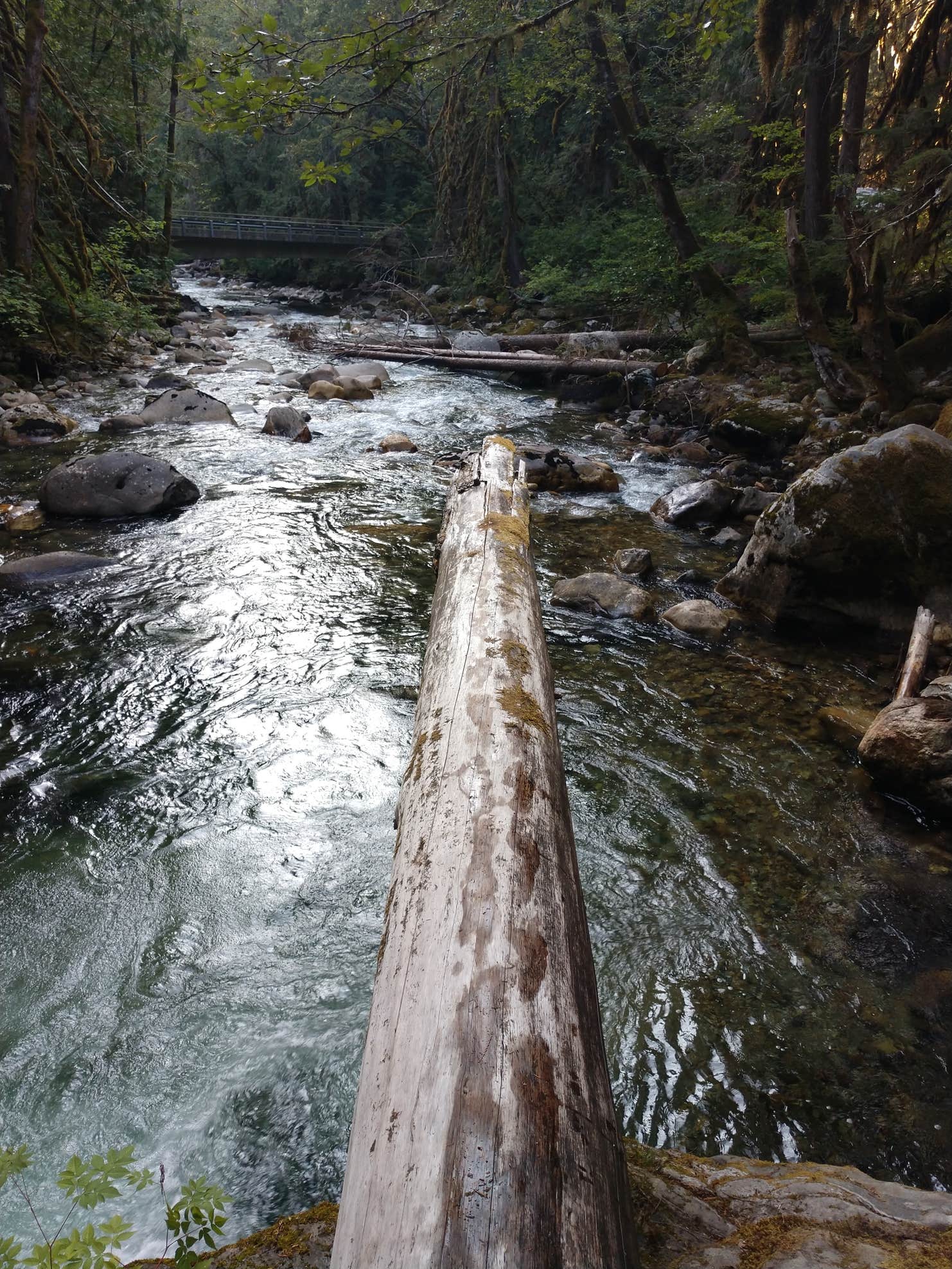Buck Creek Campground The Dyrt