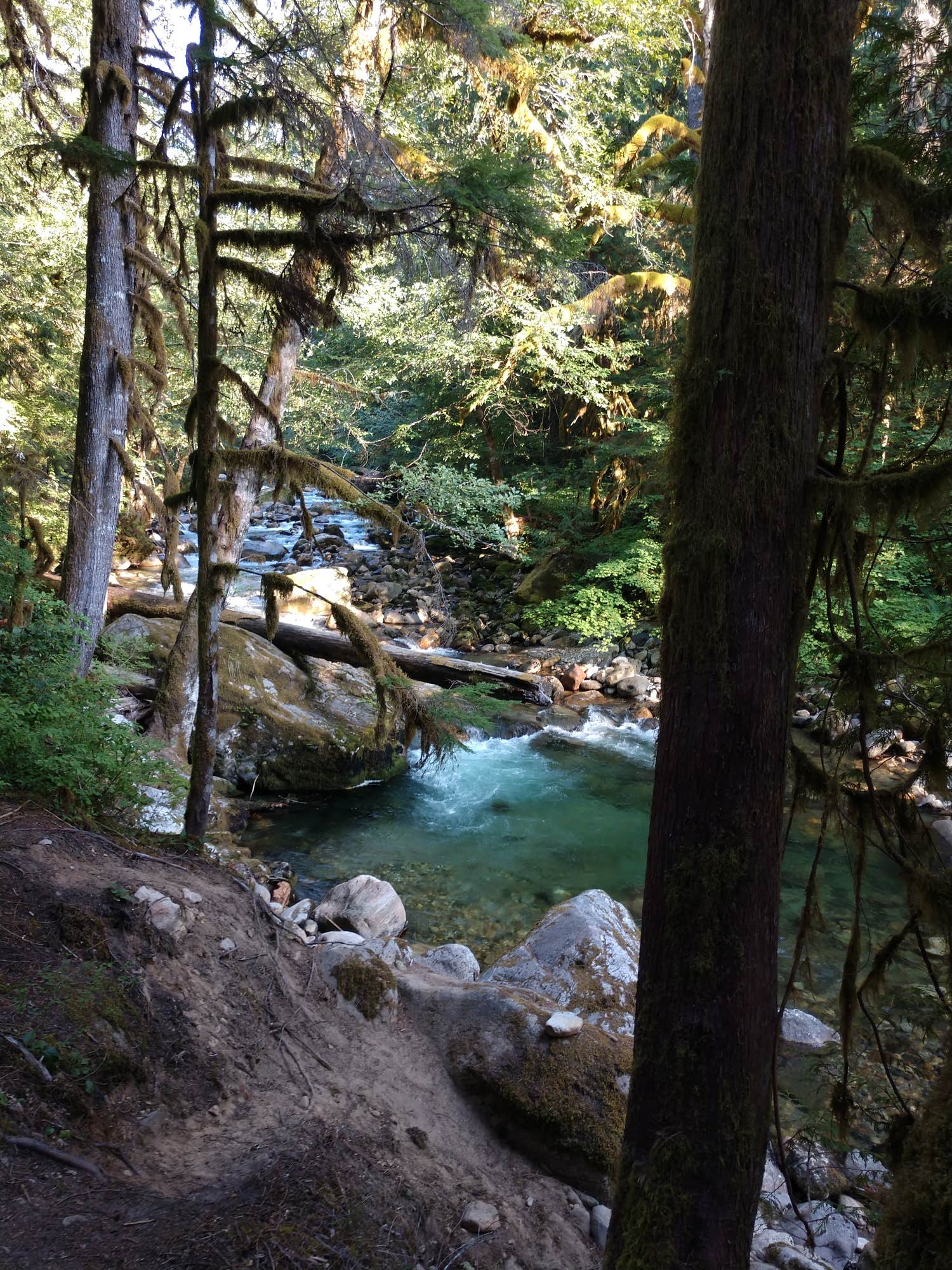 Camper-submitted photo at Buck Creek Campground near Darrington, WA