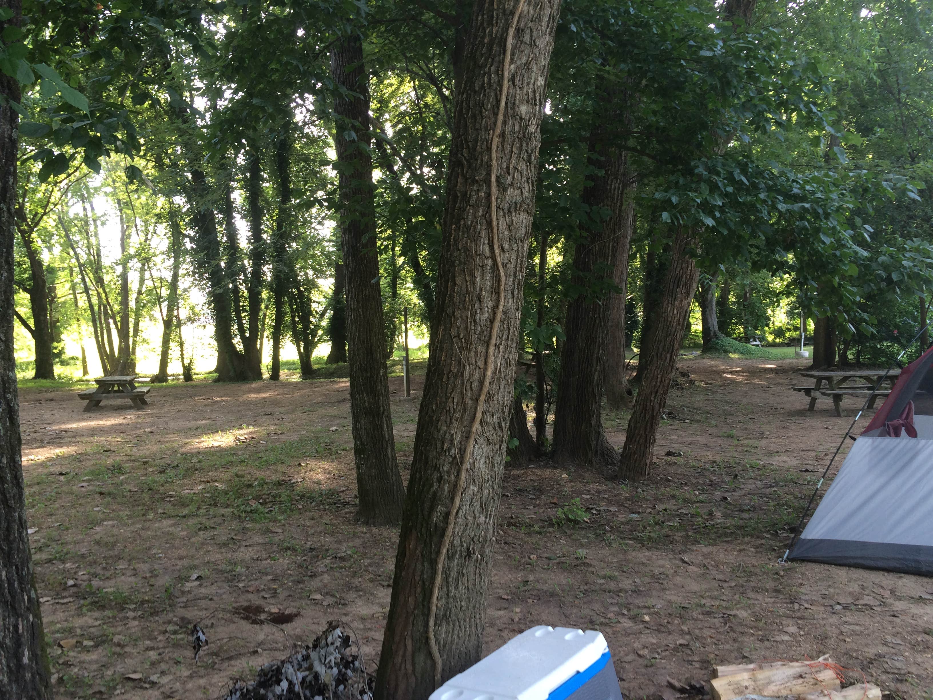 Camper submitted image from Ozark Riverfront Campground - 3