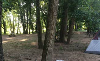 Barbara L.'s photo at Ozark Riverfront Campground near Ellington, MO