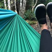 Review photo of Lost Resort at Lake Ozette — Olympic National Park by Stephanie Z., August 20, 2018