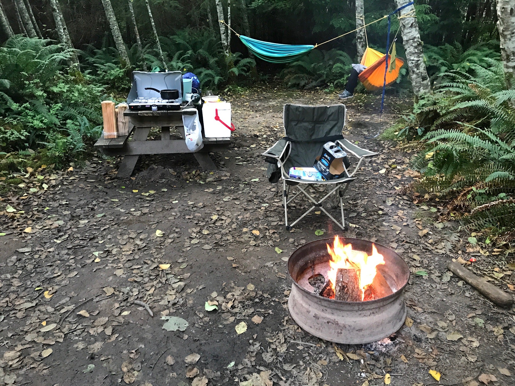 Camper submitted image from Lost Resort at Lake Ozette — Olympic National Park - 4