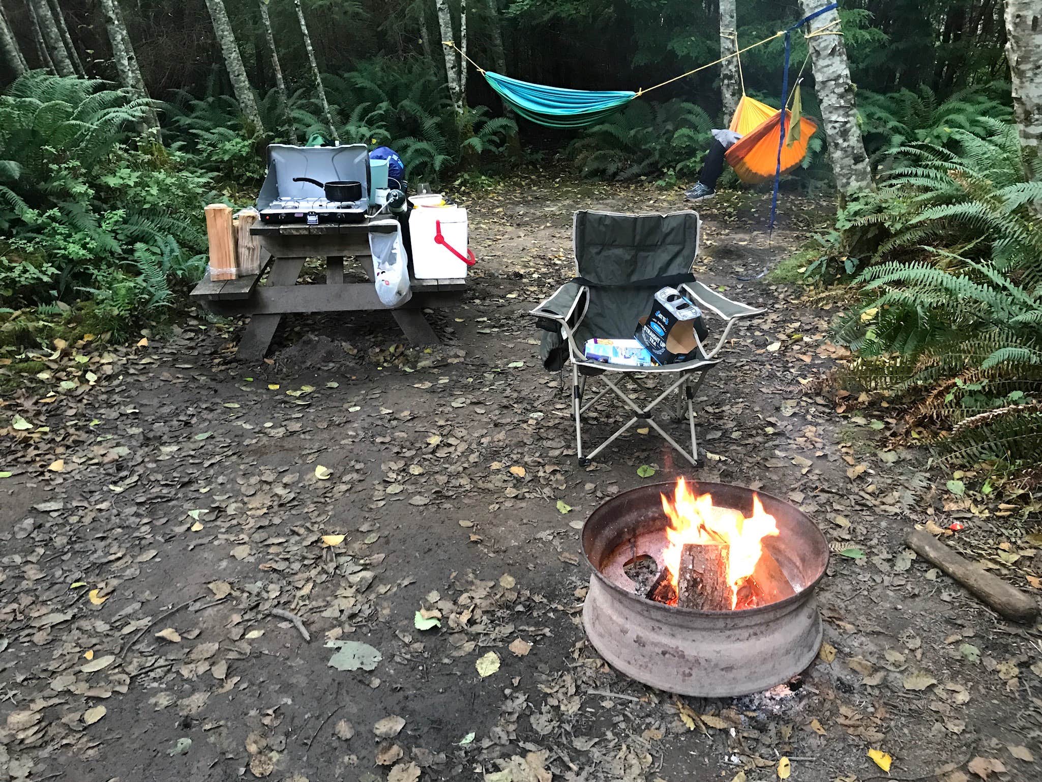 Lost Resort At Lake Ozette — Olympic National Park Camping 