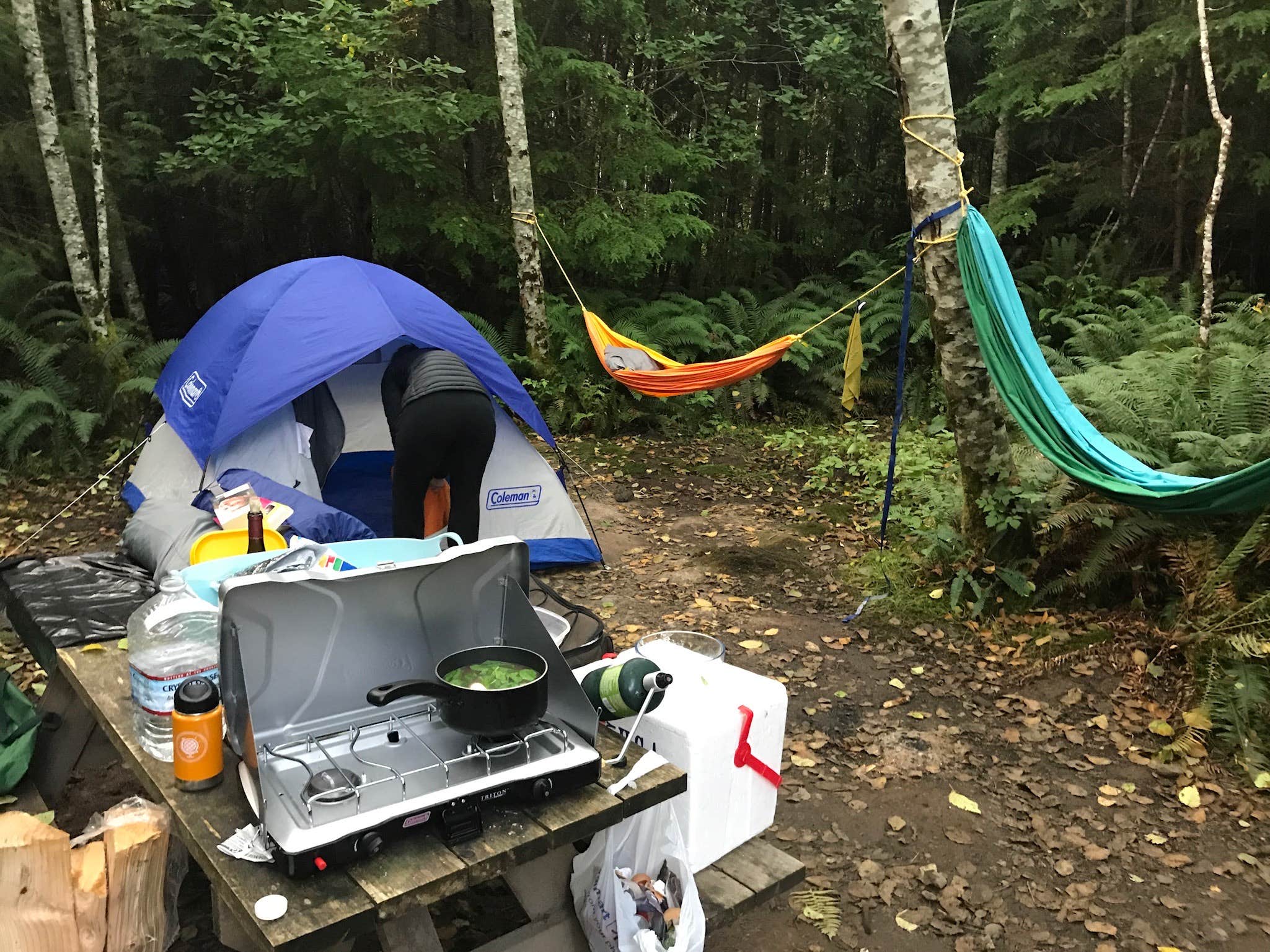 Camper-submitted photo at Lost Resort at Lake Ozette — Olympic National Park near Sekiu, WA