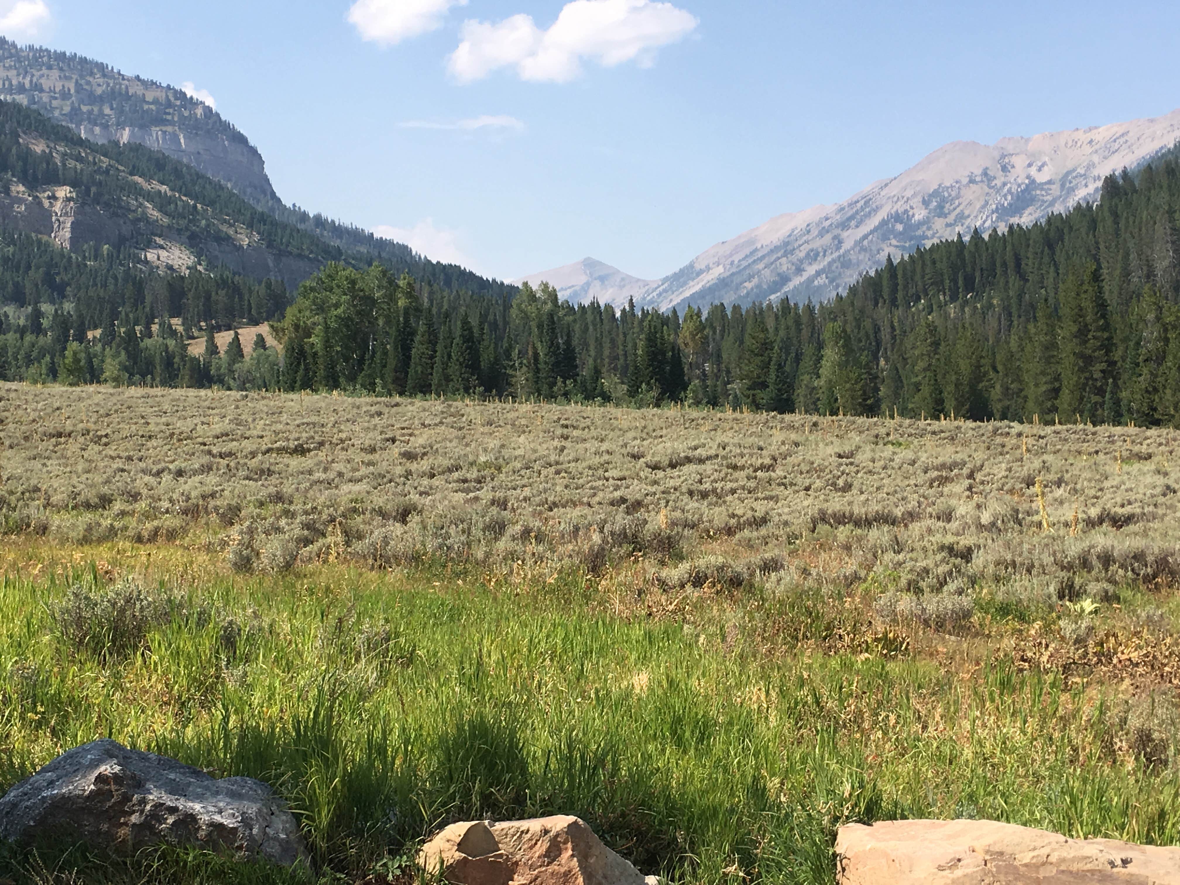 Camper-submitted photo at Granite Creek Campground near Bridger-Teton National Forest