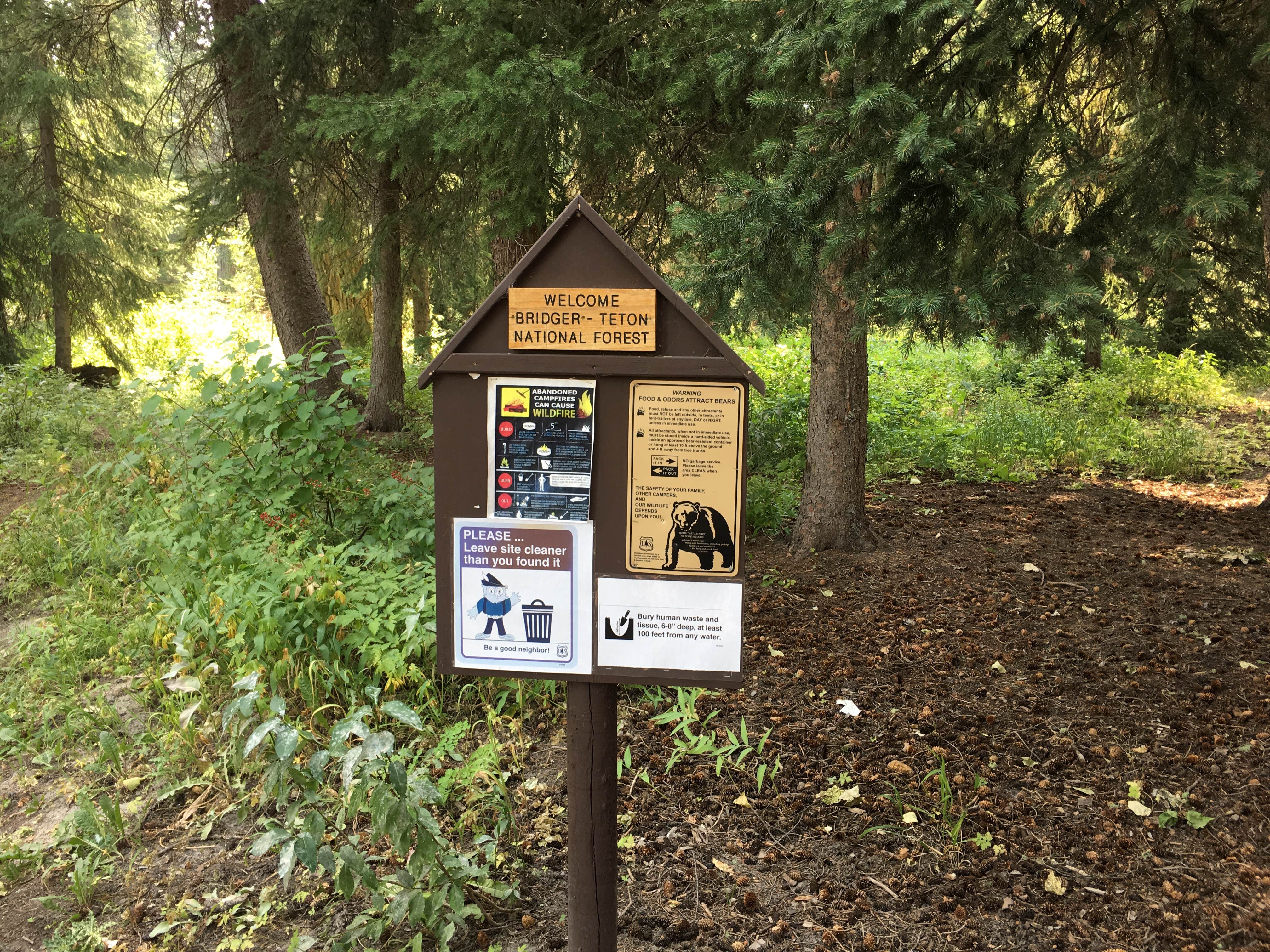 Camper-submitted photo at Pacific Creek Campground near Grand Teton National Park