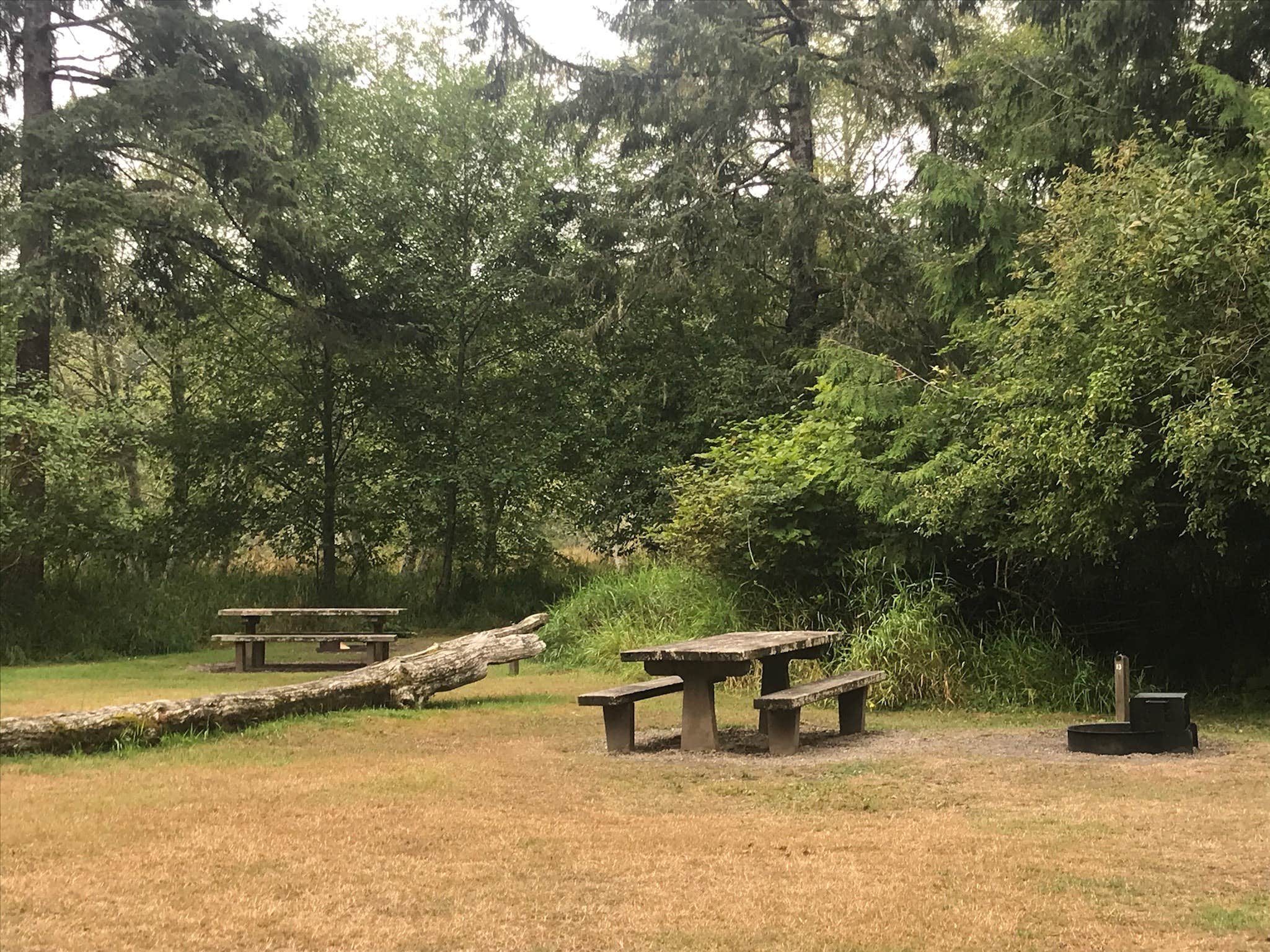 Camper submitted image from Ozette Campground — Olympic National Park - 3